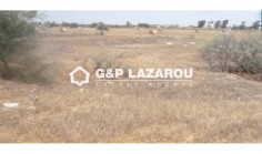 Large land for sale in Liopetri, Famagusta