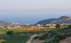 Residential 11914 m2 for sale in Agios Tychonas, Limassol