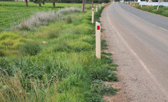 Land 5610m2 for sale in Avgorou with building permit , Famagusta
