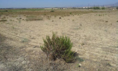 4002m2 land for sale in Softades area near Pervolia with road access and only 800m from the sea , Larnaca 4002m2 land for sale in Softades area near Pervolia with road access and only 800m from the sea , Larnaca