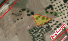 Two blocks of land with a total of 3.178 m2 for sale in Aradippou 