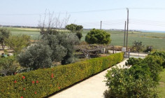 A 3 bedroom detached house for sale in Kiti with sea view and large plot of land 