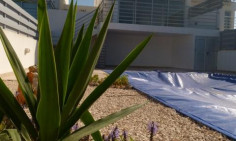 A three bedroom detached house for sale in Protaras with private swimming pool a short distance from the sea