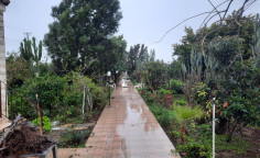 A well maintained, detached country villa in Pervolia of Larnaca 