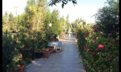 A well maintained, detached country villa in Pervolia of Larnaca 