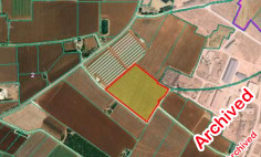 Agricultural land in Ormideia 