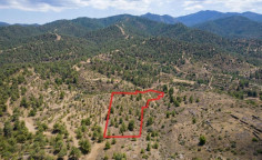 (agricultural) in Agia Marina xyliatou, Nicosia for sale , Nicosia