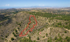 (agricultural) in Agia Marina xyliatou, Nicosia for sale , Nicosia