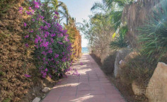Luxury 3 bedroom villa with swimming pool for sale in Agia Thekla