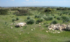 Residential 103011 m2 for sale in Pissouri, Limassol