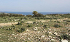 Residential 103011 m2 for sale in Pissouri, Limassol