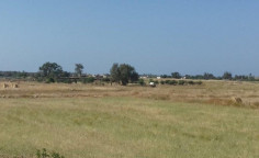 Residential 12421 m2 for sale in Liopetri, Famagusta