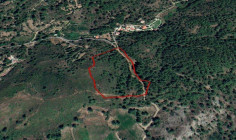 (agricultural) in Mandria, Limassol for sale , Limassol