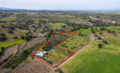 Land for sale in Nikitari, Nicosia Land for sale in Nikitari, Nicosia
