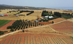 Residential 8130 m2 for sale in Kouklia, Paphos