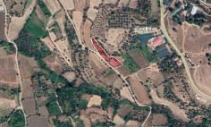 Commercial (warehouse) in Evrychou, Nicosia for sale 