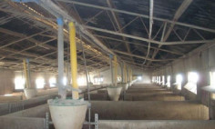 Commercial (warehouse) in Aradippou, Larnaca for sale 