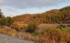 Residential 10939 m2 for sale in Mosfiloti, Larnaca