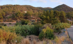 Residential 10939 m2 for sale in Mosfiloti, Larnaca