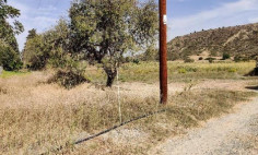 Land 6104 m2 for sale in Pissouri, Limassol