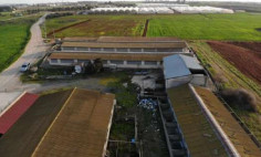 Commercial (warehouse) in Ormidia, Larnaca for sale 