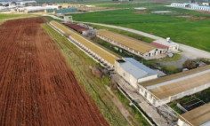 Commercial (warehouse) in Ormidia, Larnaca for sale 