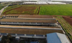 Commercial (warehouse) in Ormidia, Larnaca for sale 