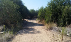 Residential 2921 m2 for sale in Dali, Nicosia