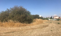 Residential 2921 m2 for sale in Dali, Nicosia