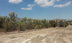 Luxury residential for sale in Anglisides, Larnaca