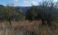 Beautiful residential for sale in Giolou, Paphos