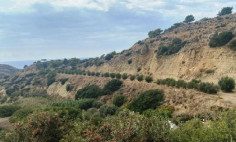 Beautiful residential 13379 m2 for sale in Pissouri, Limassol
