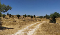 (agricultural) in Analiontas, Nicosia for sale , Nicosia