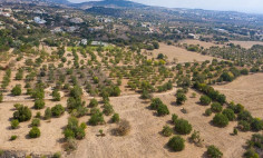 Large residential for sale in Mesa Chorio, Paphos