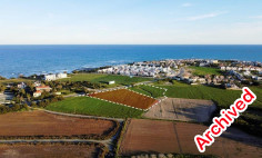 Field (Share) in Perivolia, Larnaca , Larnaca