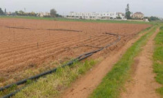 Residential 2366 m2 for sale in Frenaros, Famagusta