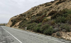 Land 28700 m2 for sale in Pissouri, Limassol