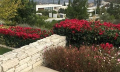 3 bedroom bungalow with swimming pool for sale in Tsada