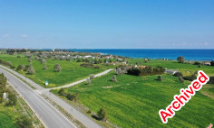 Field in Mazotos, Larnaca , Larnaca