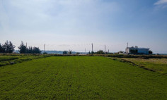 Residential 7009 m2 for sale in Anarita, Paphos