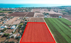 Field in Pervolia, Larnaca , Larnaca