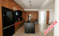 Modern brand new 4 bedrooms villa in Pegeia 