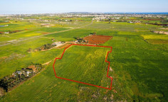 Shared agricultural field in Avgorou, Famagusta Shared agricultural field in Avgorou, Famagusta