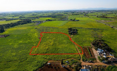 Shared agricultural field in Avgorou, Famagusta Shared agricultural field in Avgorou, Famagusta