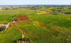 Shared agricultural field in Avgorou, Famagusta 