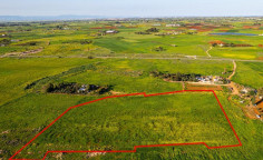 Shared agricultural field in Avgorou, Famagusta Shared agricultural field in Avgorou, Famagusta