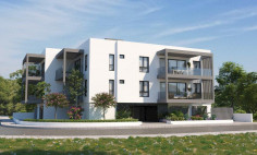 Spacious two apartment for sale in Engomi