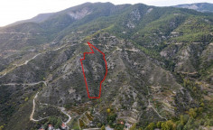 Agricultural 25753 m2 for sale in Pelendri