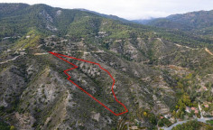 Agricultural 25753 m2 for sale in Pelendri