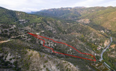 Agricultural 25753 m2 for sale in Pelendri